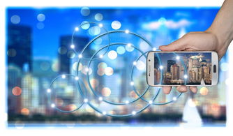 米兰体育在线登录-中国篮球职业俱乐部财务风险管理策略研究，篮球俱乐部运营情况